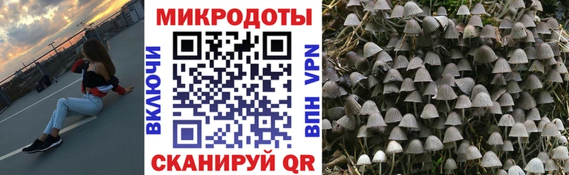 сайты даркнета телеграм  Железноводск  Псилоцибиновые грибы Psilocybe  цены наркотик 